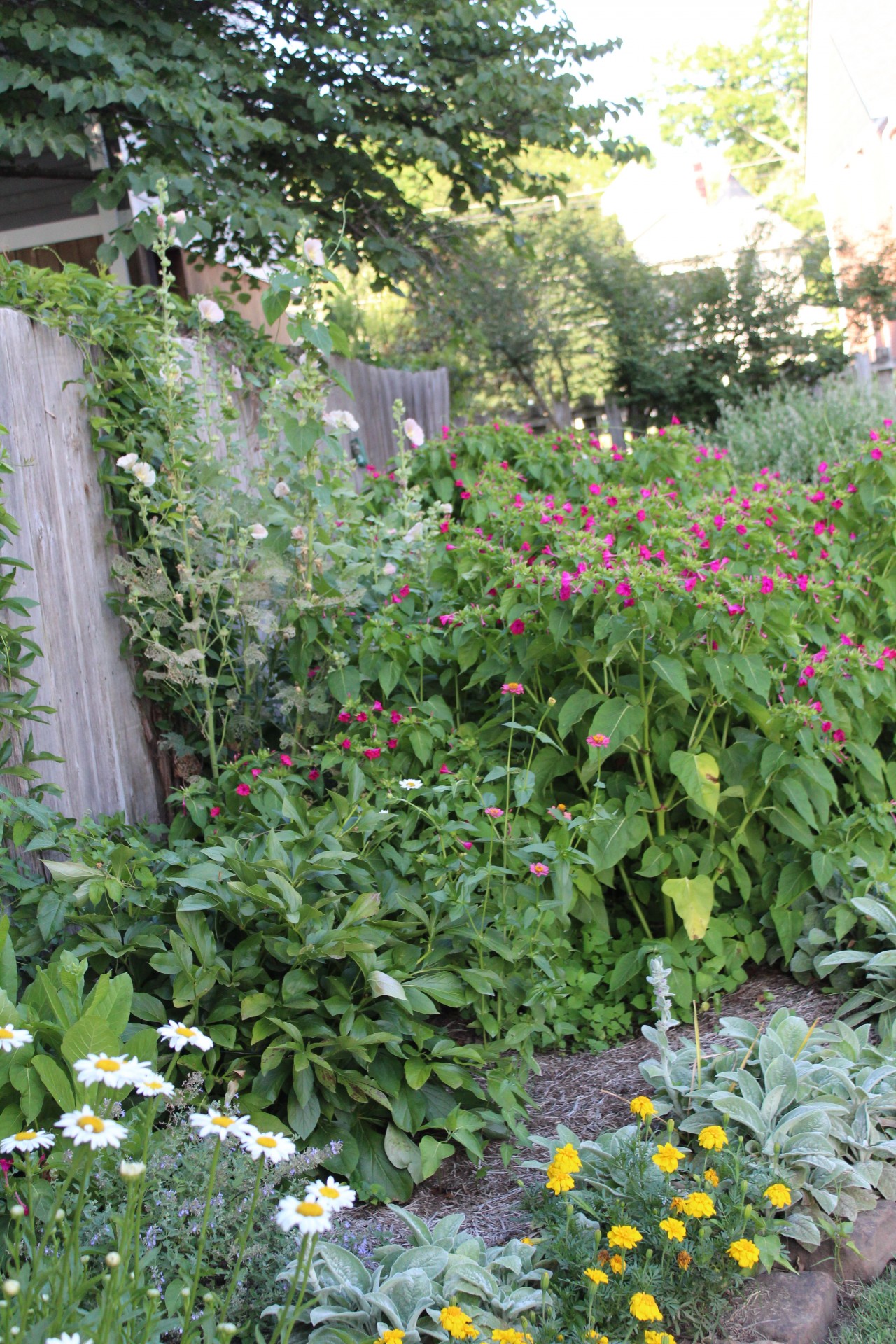 Flowers.fence